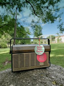 Ein retro Radio steht auf einem Stein in einem grünen Park.